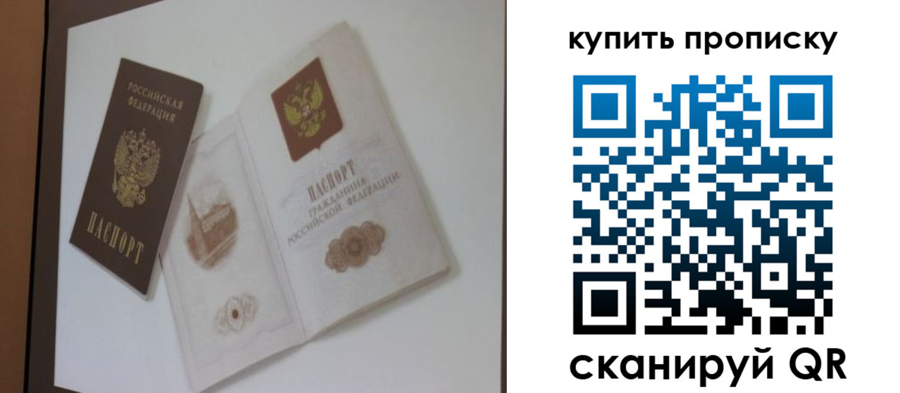 где прописаться в Опочке